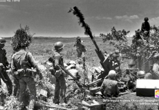 Trận Xa Chiến Ác Liệt Bên Dòng Sông Mỹ Chánh -  Đinh Viết Trinh