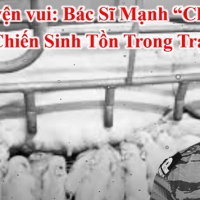 Hình minh họa Youtube